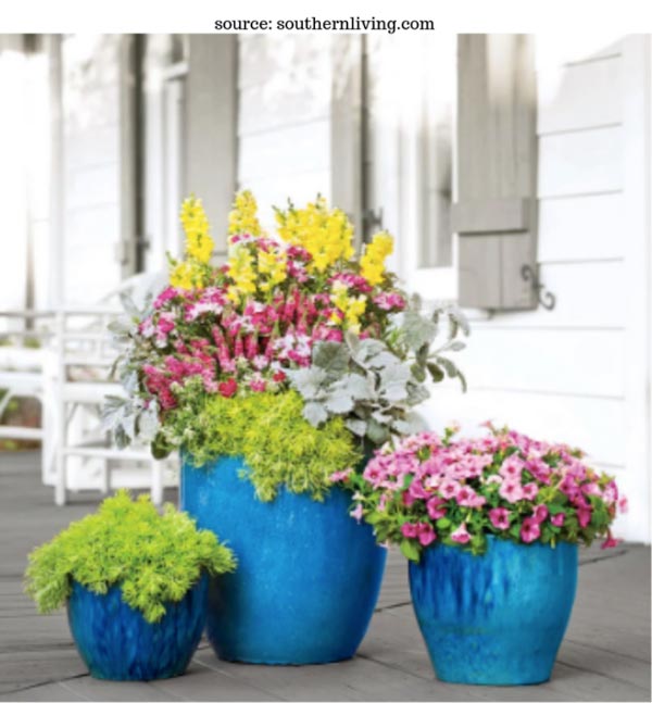 How to create a gorgeous container garden to accent your home’s entrance