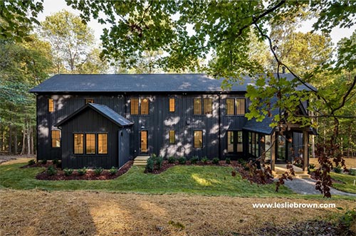 10 Gorgeous Black Homes for the Brave and the Bold